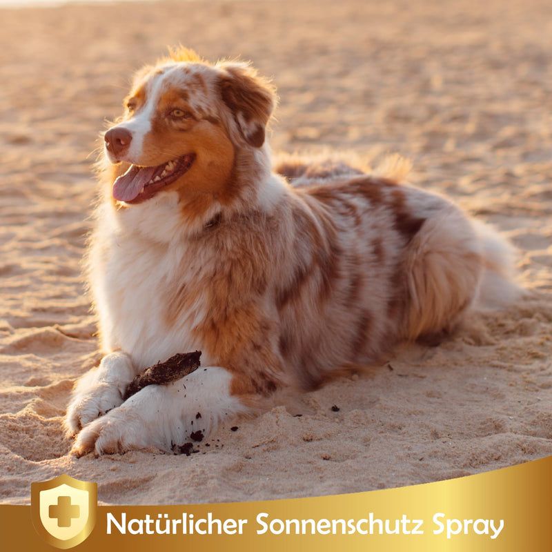Natural sun protection spray for dogs and cats, 250ml - Protects against sun rays and sun - Sun sun cream fluid, Linea 101 - BeesActive Australia