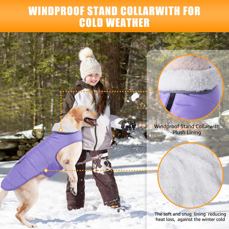 iBuddy Dog Winter Jackets with Fleece Vest,Waterproof Warm Dog Snow Jacket Windproof, Reflective Adjustable Pet Dogs Cold Winter Coat for Large Dogs Girl Boy Purple X-Large - BeesActive Australia