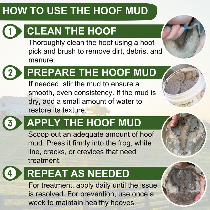 Pure Sole Severe Thrush Treatment for Horses | Targets Black Smelly Thrush & Deep Sulcus | Hoof Mud, Hoof Cleanse and Thrush Dust Bundle