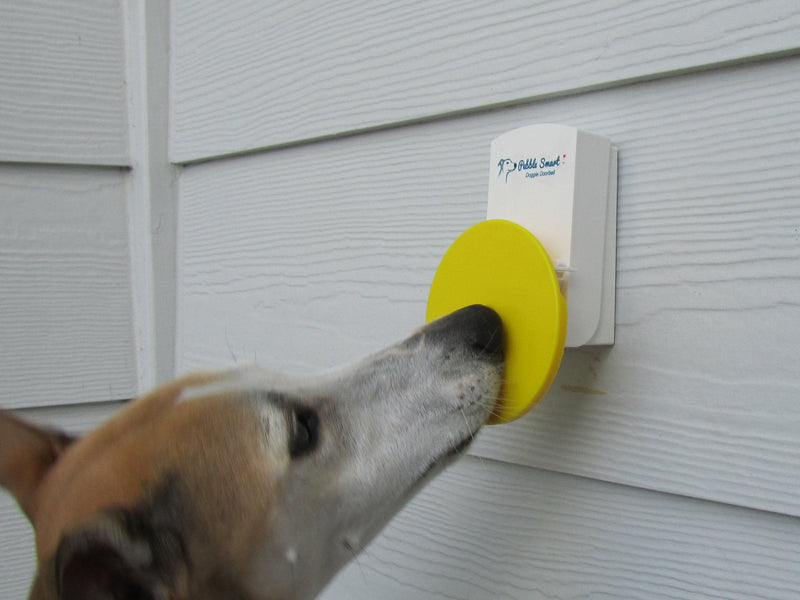 Doggie Doorbell - Blue Accent - BeesActive Australia