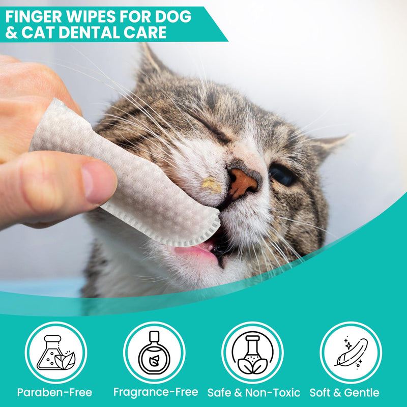 Dog Dental Wipes – 60 Count Natural Pet Dental Finger Wipes for Dogs, Cats – Odorless and Safe Dog and Cat Teeth Cleaning Wipes – Dental Wipes for Dogs Teeth Supports Dental Care, Gum Care - BeesActive Australia