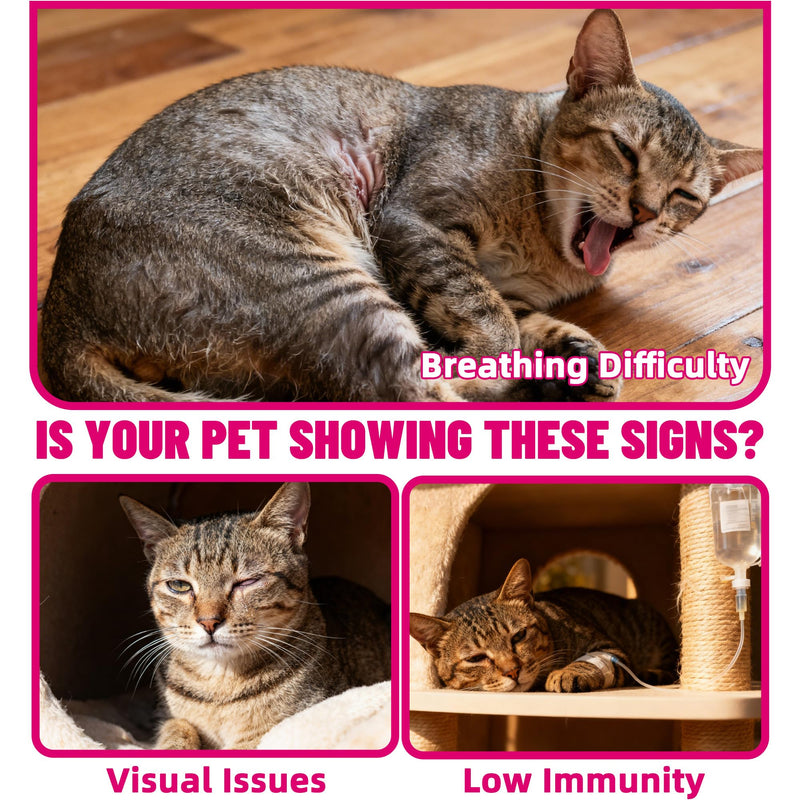 Just Try 7OZ Taurine Powder - Cat & Dog Heart Supplement with Taurine & CoQ10 - Support Heart, Vision and Immune System Health