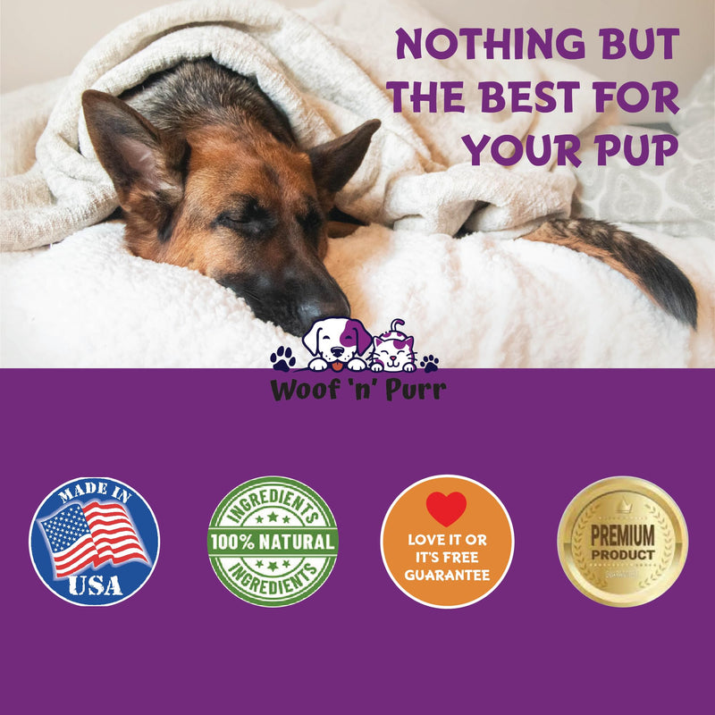 Dog Melatonin - Melatonin for Dogs - Dog Sleep Aid - Sleep Aid for Dogs - Melatonin for Dogs Sleep - Dog Calming - Calming for Dogs - Dog Calming Treats - Dog Anxiety Relief - 1 fl oz: Bacon Flavor
