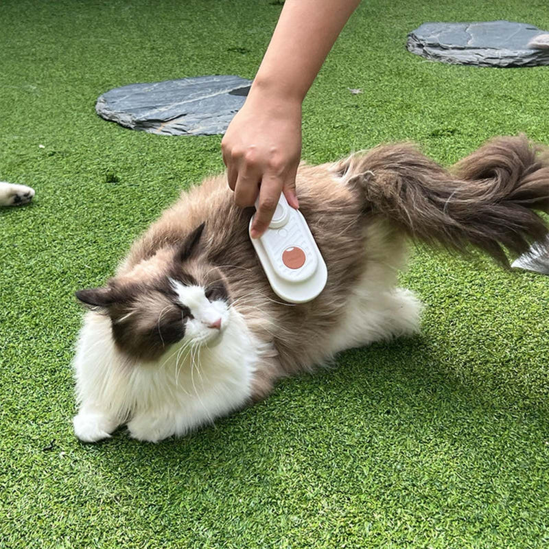 Cat Steam Brush for Shedding, Steam Brush for Indoor Cats, Water Brush, Cat Spray Mist Massaging Brush, Pet Hair Removal Brush, Suitable for Cats, Dogs and Rabbits, Cat Cleaning Brush 😽white - BeesActive Australia