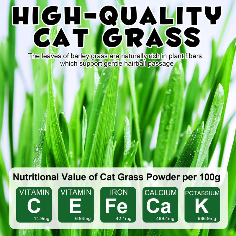 Freeze-Dried Cat Grass Sticks for Teething, High Meat Content Hairball Control & Dental Health Chews, Grain-Free Cat Treats with Chicken & Egg Yolk Grass Grass Sticks 1.12 Ounce (Pack of 1)