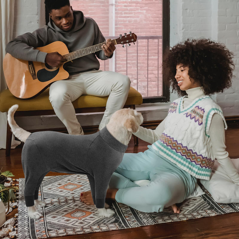 CITÉTOILE One-piece recovery suit for dogs, pet long-sleeved recovery suit after surgery, dog stomach wound protection suits, e-collar alternative, pet pajamas for large dogs, grey, L - BeesActive Australia