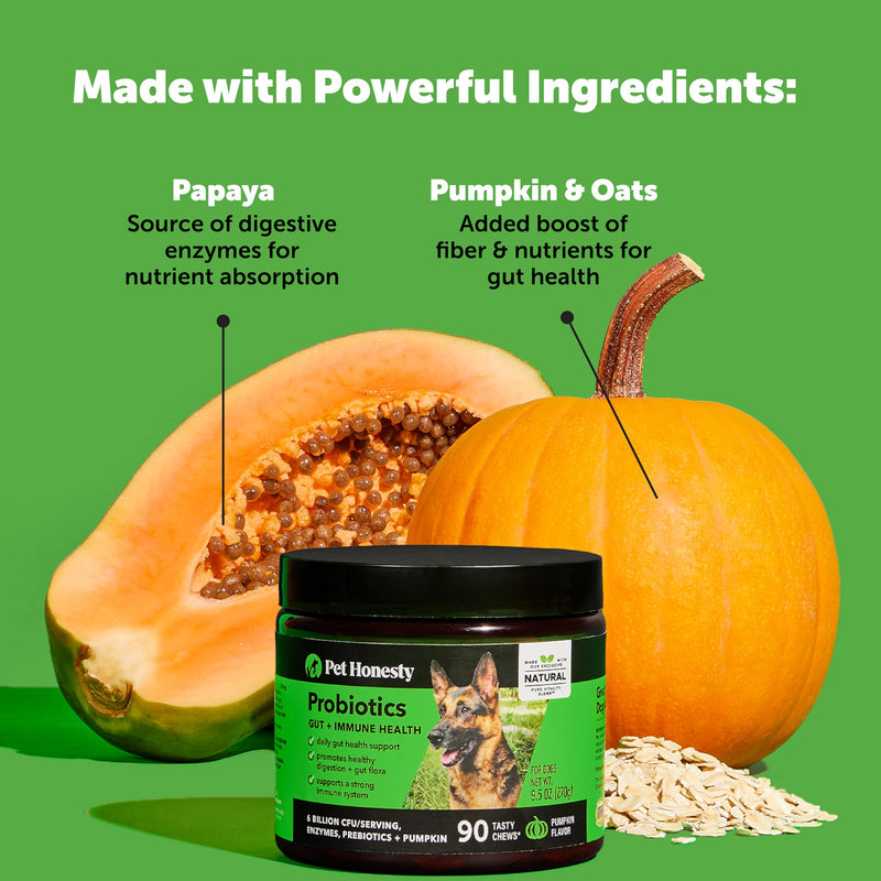 Senior Hemp Hip & Joint Support & Probiotics Virtual Bundle: Mobility Supplement & Gut Health Chews for Dogs (Chicken & Duck 90 ct)