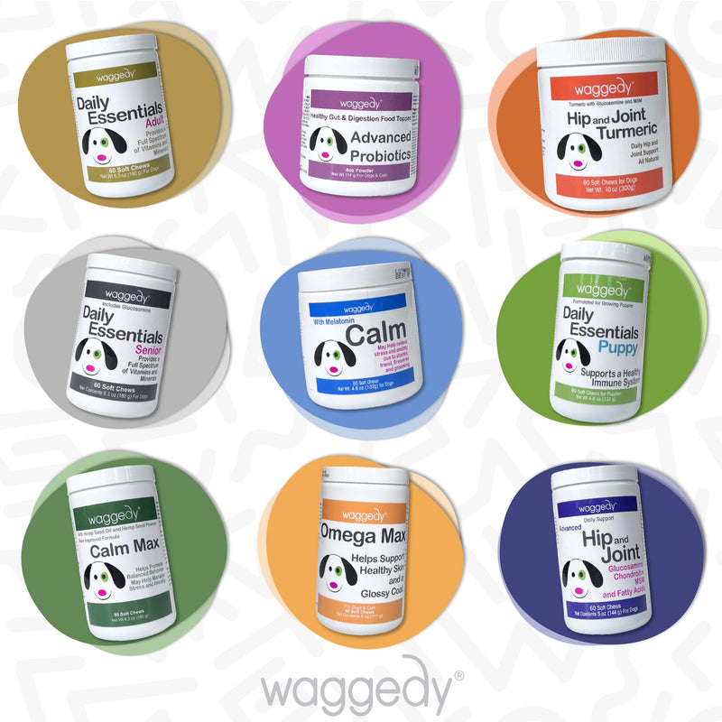 Waggedy Advanced Dog Probiotics Gut and Digestion Food Topper – Probiotic Powder with Digestive Enzymes & Papaya – Gentle Probiotics for Dogs 6+ Weeks – Supports Gut Balance, Comfort & Immune Health 4 oz