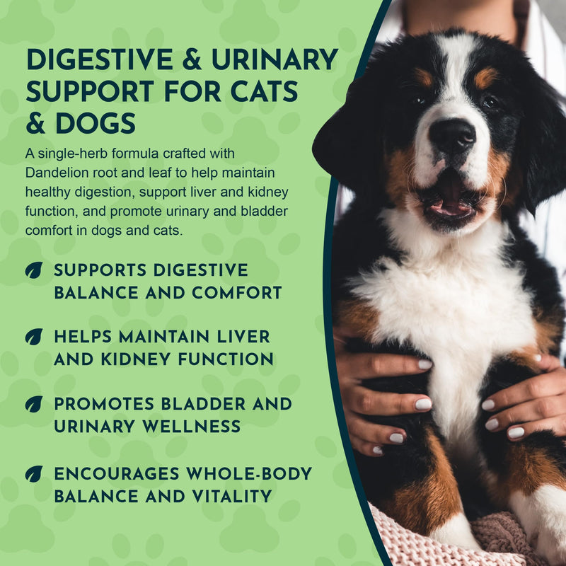Animal Essentials Dandelion Extract for Dogs - Liquid Dandelion Root & Leaf Supplement, Liver & Kidney Support for Pets, Promotes Digestive Health, Natural Herbal Tonic for Dogs & Cats - 2 fl oz 2 Fl Oz (Pack of 1)