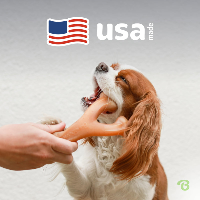 Benebone Wishbone Durable Dog Chew Toy for Aggressive Chewers, Real Bacon, Made in USA, Medium - BeesActive Australia