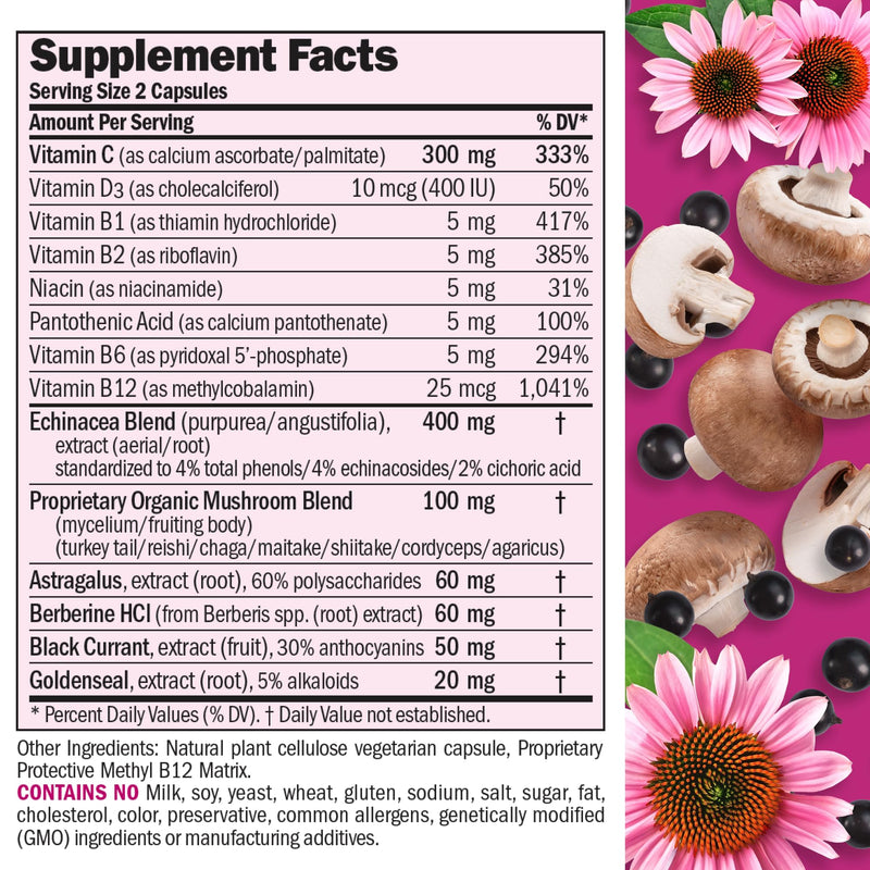 ANDREW LESSMAN Immune Factors 180 Capsules – Echinacea, Goldenseal, Vitamin C, Astragalus, Berberine, Mushroom Blend, Black Currant. Supports and Promotes Immune System and Natural Defenses | A comprehensive blend of botanicals, mushrooms and nutrients...