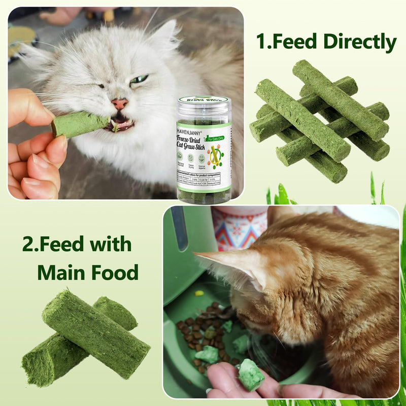 HavenJanny Cat Grass Teething Stick for Cat, Cat Grass Stick Canned for Indoor Cats, Cat Grass Treats Hairball Relief and Teeth Cleaning(1.76oz) 1.76oz - BeesActive Australia
