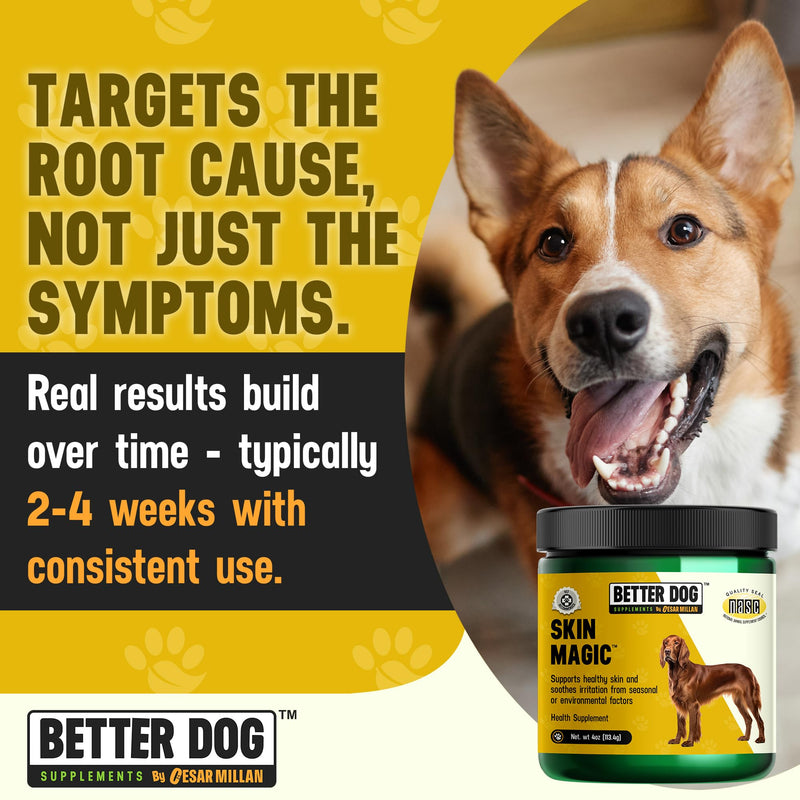 Better Dog Supplements by Cesar Millan® Skin Magic – Natural Skin and Coat Supplement for Dogs Irritation from Seasonal Factors, Hot Spots, & Itch Relief Dog Skin Supplement – 4oz (60-Day Supply)