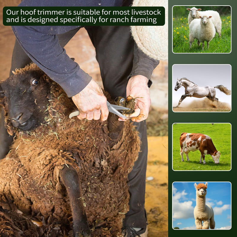 Hoof Trimmers, Hoof trimmers for Goats and Sheep, Pig Hoof Trimmers, Horse Hoof Trimming Tools , Multipurpose Carbon Steel Hoof Trimmers, Farrier Tools with High Hardness and Spring Loading Device - BeesActive Australia