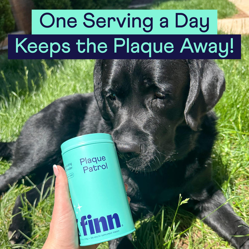 Finn Dental Powder for Dogs | Targets Plaque, Tartar & Bad Breath