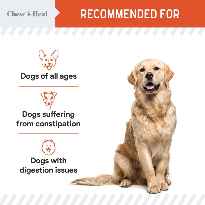 Organic Pumpkin Powder for Dogs - 4 oz of Pumpkin for Dog Digestion with 5cc Scoop - Made with Pumpkin, Apple, and Carrots - Made in The USA - BeesActive Australia