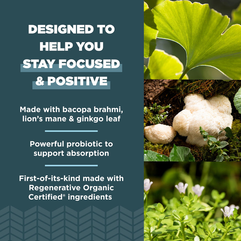 Ancient Nutrition Regenerative Organic Certified Focused Brain Capsules, Made with Ginkgo Leaf, Lion's Mane to Help Reduce Stress, Gluten Free, Paleo and Keto Friendly, 90 Count - BeesActive Australia