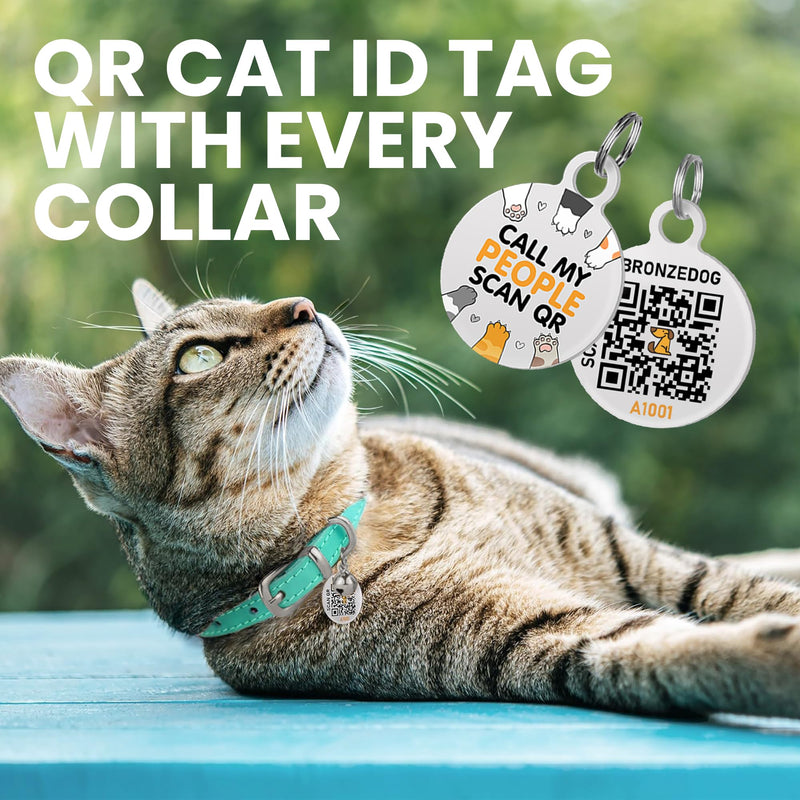 BRONZEDOG Leather Cat Collar with Bell Non Breakaway Kitten QR Tag for Girl Boy (7" - 9" for Cats, Turquoise & Silver) 7 - 9 inch - BeesActive Australia
