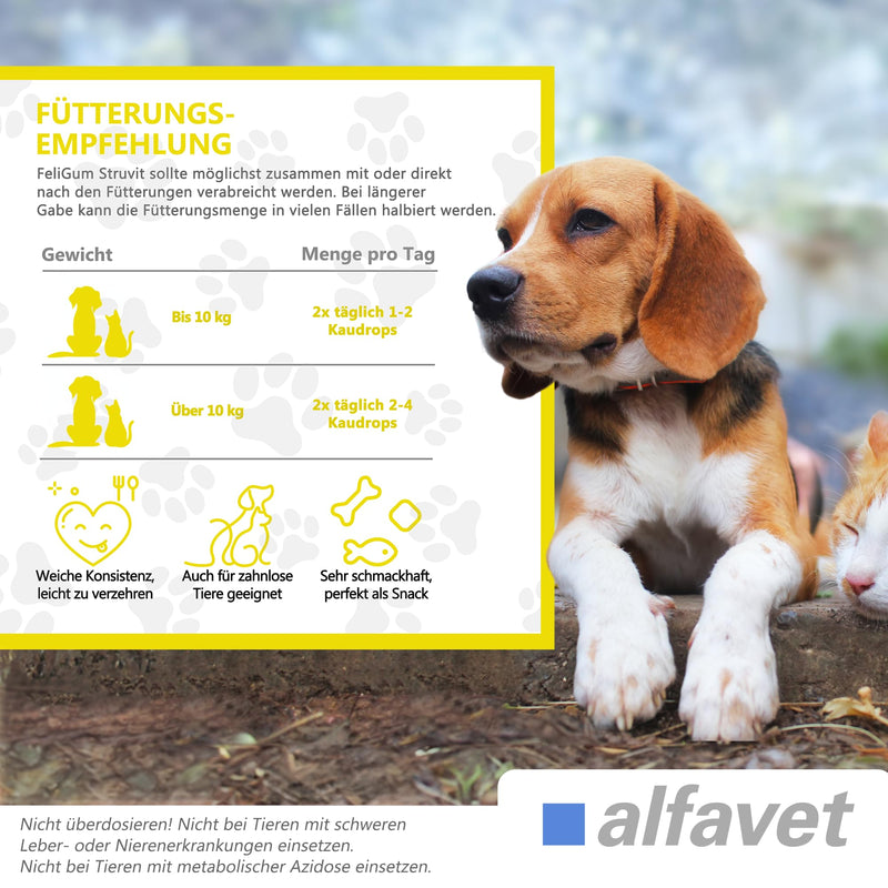 alfavet Feligum Struvit, chewing drops for dissolving struvite stones, cats and small dogs, 160g - BeesActive Australia