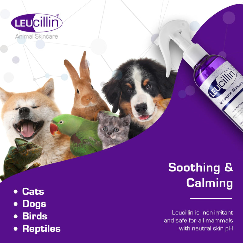 Leucillin Natural Antiseptic Spray - Antibacterial Antifungal Antiviral for Dogs Cats All Animals Itchy Skin Minor Wound Care and Skin Health | 250ml 250 ml (Pack of 1)