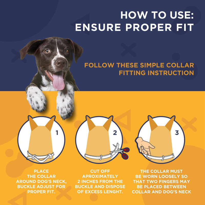 Flea and Tick Prevention for Dogs - Adjustable - One Size Fits All - BeesActive Australia