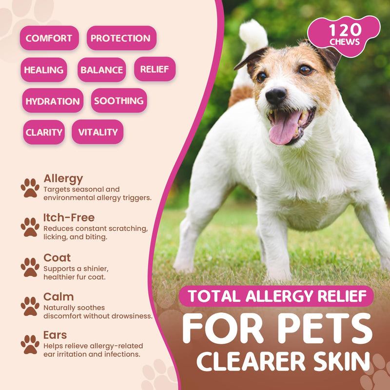 Allergy Relief Chews for Dogs – Itchy Skin, Hot Spots & Seasonal Allergy Support – Anti-Itch Supplement with Omega-3, Quercetin & Probiotics – Salmon Flavor – 120 Soft Chews