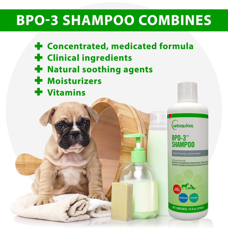 Vetoquinol BPO-3 Shampoo for Dogs, Cats & Horses (3% Benzoyl Peroxide) – 16oz – Deep Cleaning, Medicated Shampoo Opens & Flushes Hair Follicles – Degreases Oily Coats – Soothes Red, Flaky, Itchy Skin - BeesActive Australia