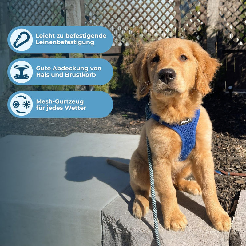 Voyager Step-In Air Dog Harness by Best Pet Supplies - All Weather Mesh Step in Vest Harness for Small and Medium Dogs, Royal Blue, Size M - Chest 40-45 cm Harness (Royal Blue) M (Chest: 16 - 18") - BeesActive Australia