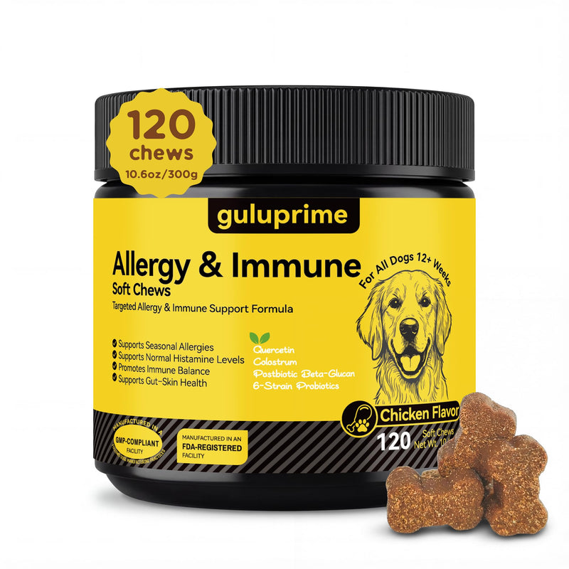 Dog Allergy Relief Chews with Quercetin, Colostrum & Probiotics, 120ct | Daily Allergy & Immune Support for Dogs, Supports Normal Histamine Response, Skin & Coat Comfort, Gut Health