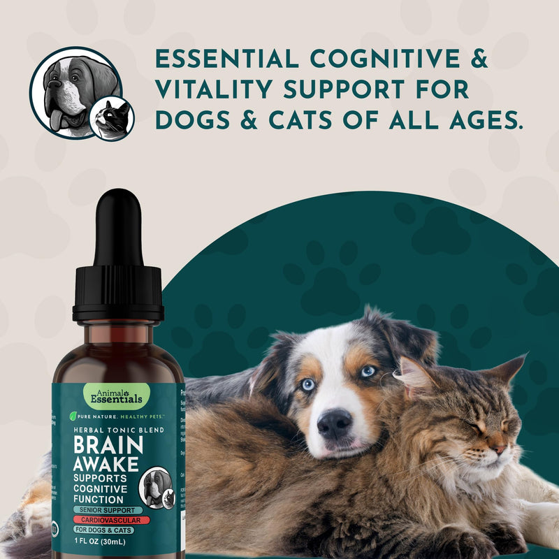 Animal Essentials Brain Awake Cognitive Support Formula for Dogs & Cats, 1 fl oz