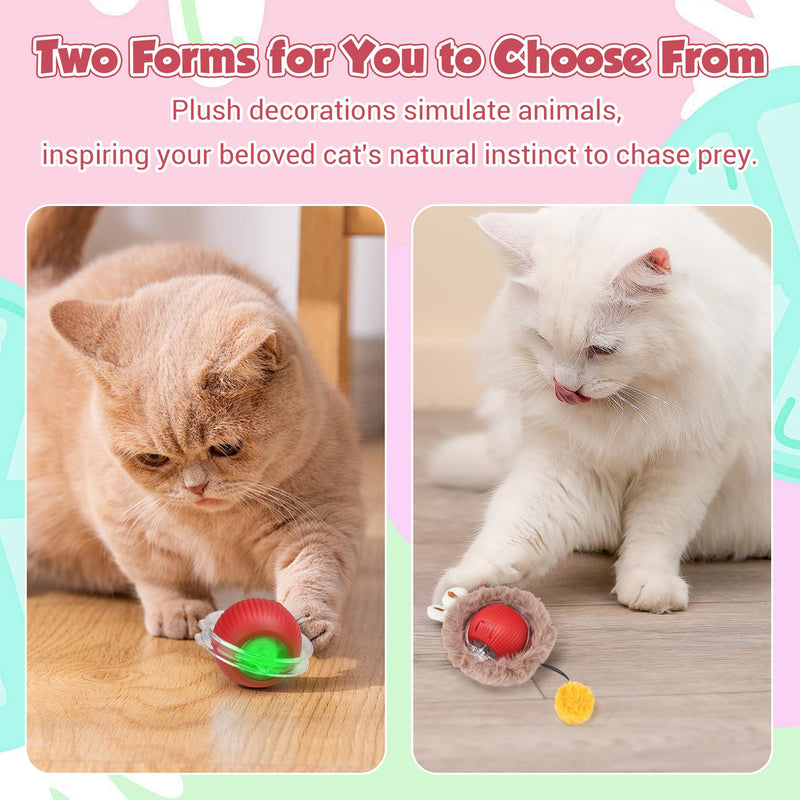 JAKPAK Cat Toys Interactive Cat Toy Ball with Plush Cover for Indoor Cats Bird Chirping and Strong Power Drive Dog Cat Toy Moving Automatic Dog Cat Toys for Bored Indoor Cats of All Ages (Red) - BeesActive Australia