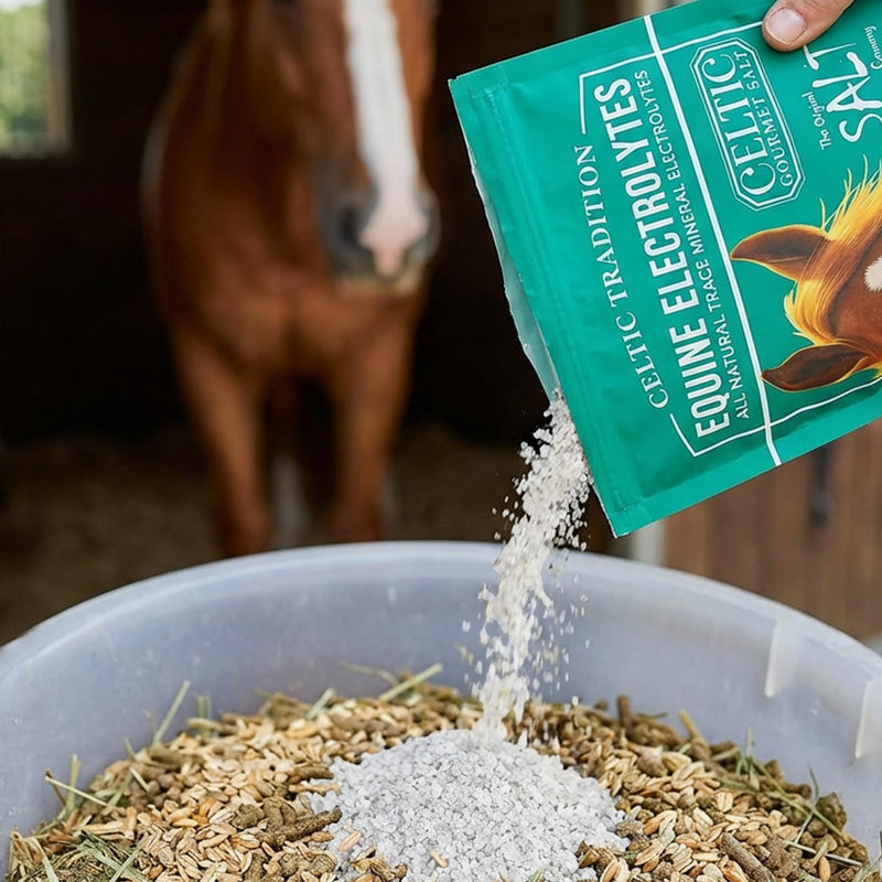 Celtic Tradition Equine Electrolytes – Natural Mineral Salt Supplement for Horses | Replenishes Electrolytes, Supports Hydration & Recovery | 1 lb Resealable Bag