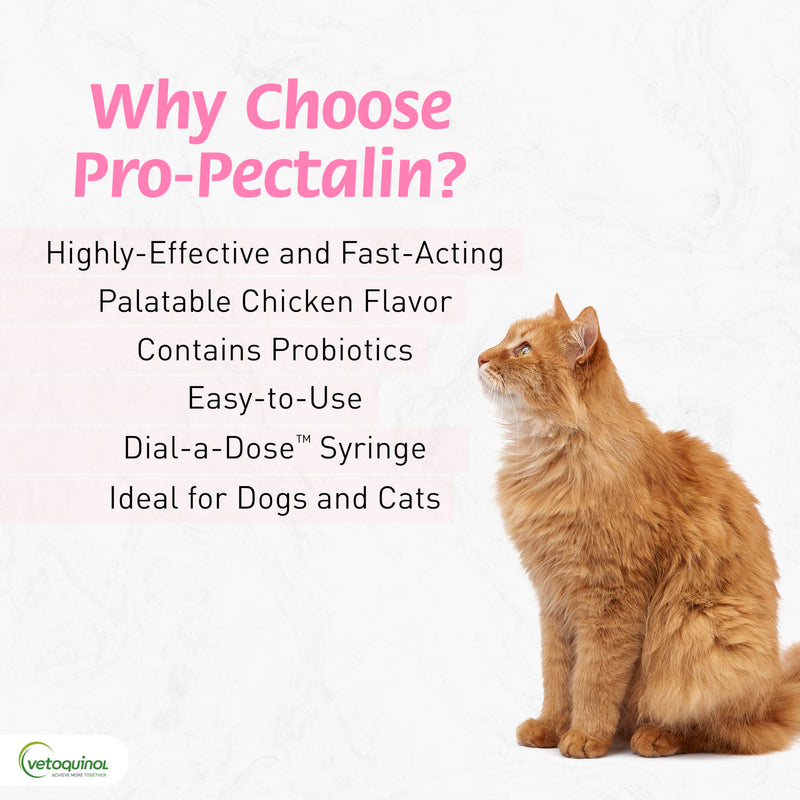 Vetoquinol Pro-Pectalin Oral Paste for Dogs & Cats – 30cc, Chicken Flavor – Helps Reduce Occasional Loose Stool & Diarrhea, Balance Gut pH, Support Normal Digestion & Intestinal Flora - BeesActive Australia