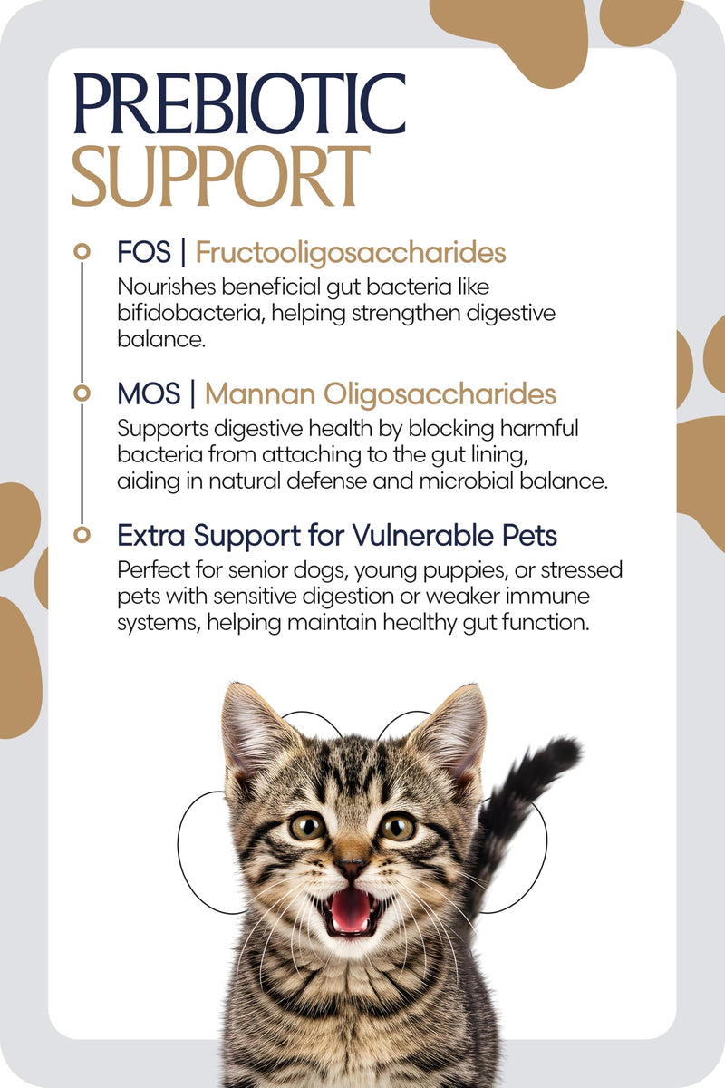 Equinavia GutEase Digestive Support Paste for Dogs & Cats – with Probiotics, Prebiotics, Glutamine, and Pectin – Easy Oral Supplement in 15ml or 30ml Syringe - 1 oz (30 ml) - 1 oz 1 oz (30 ml)