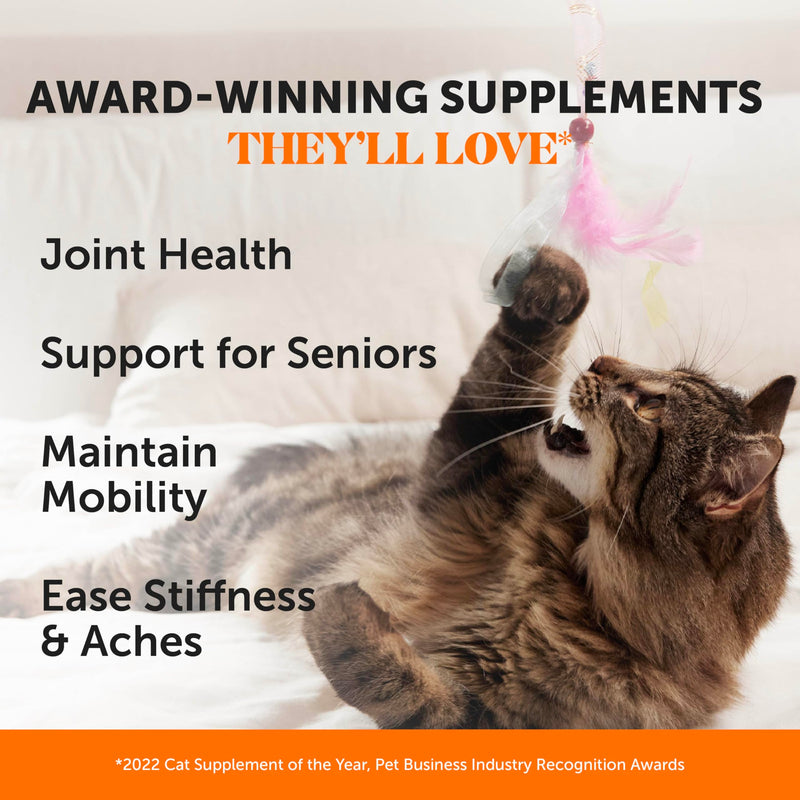 Cat Joint & Immune Support Virtual Bundle – Hip & Joint Health Chews + Immune Support Lysine Chews, 30 Day Supply Each