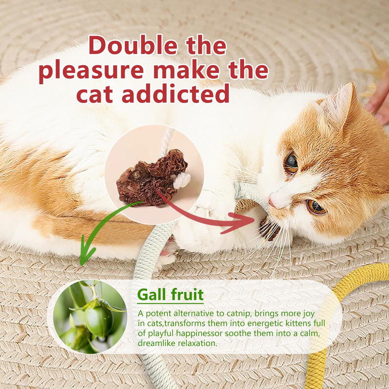 Cat Toys Chew Ropes 6Pcs with Refillable Natural Catnip, Safe Teeth Cleaning Toy for Indoor Kittens, Interactive Cat Nip Kitty Toys for All Breeds - BeesActive Australia