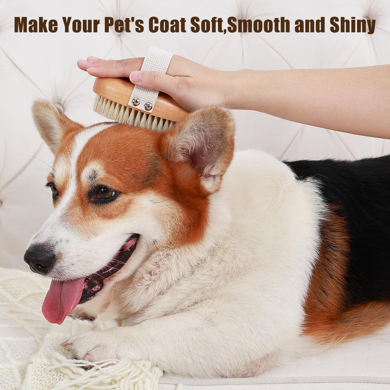 Soft Boar Bristle Pet Palm Brush for Short Haired Dogs and Cats with Band, Reduce Shedding, Ergonomic Dog Brush, Easy to Hold and Reduces Stress On Your Wrist | Ideal for Daily Grooming Wood - BeesActive Australia