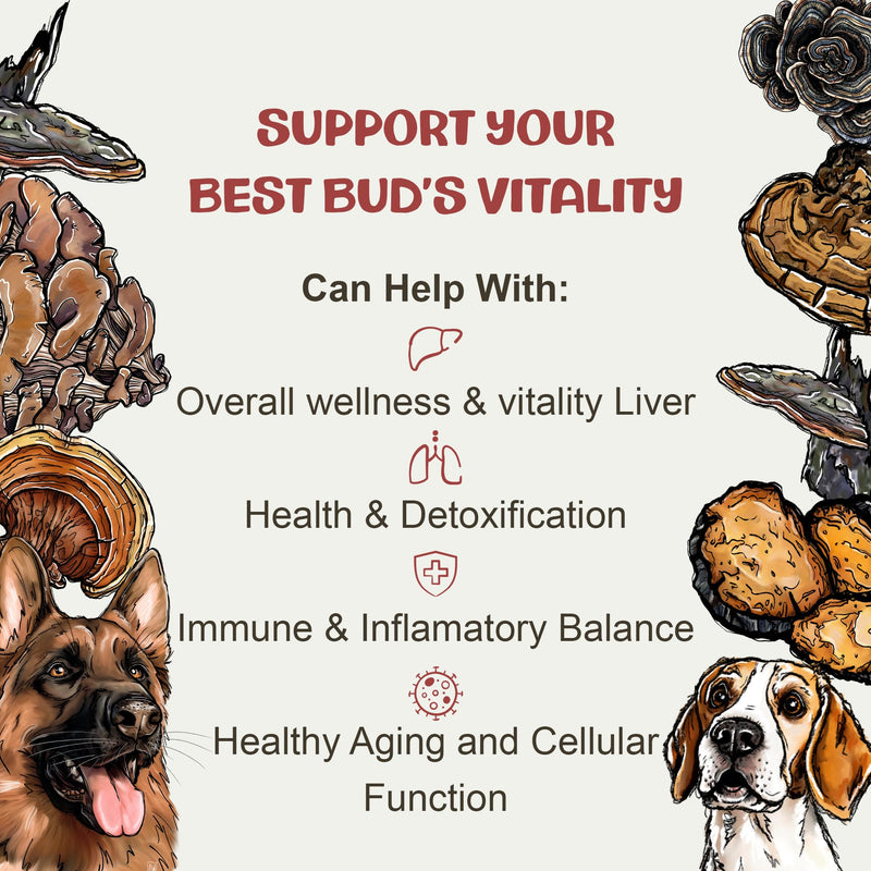 MycoDog Vitality - 20-in-1 Turkey Tail Mushroom for Dogs - Mushroom & Adaptogen Supplement for Senior Dogs - Supporting Immune Health & Daily Wellness - with Reishi, Chaga