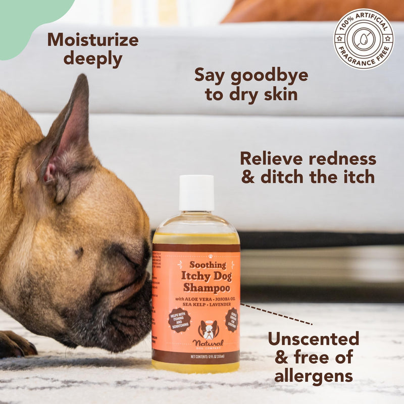 Natural Dog Company Grooming Bundle with (1) Itchy Dog Shampoo,12 oz. and (3) Grooming Wipes, 50 Count Each - PawsPlanet Australia