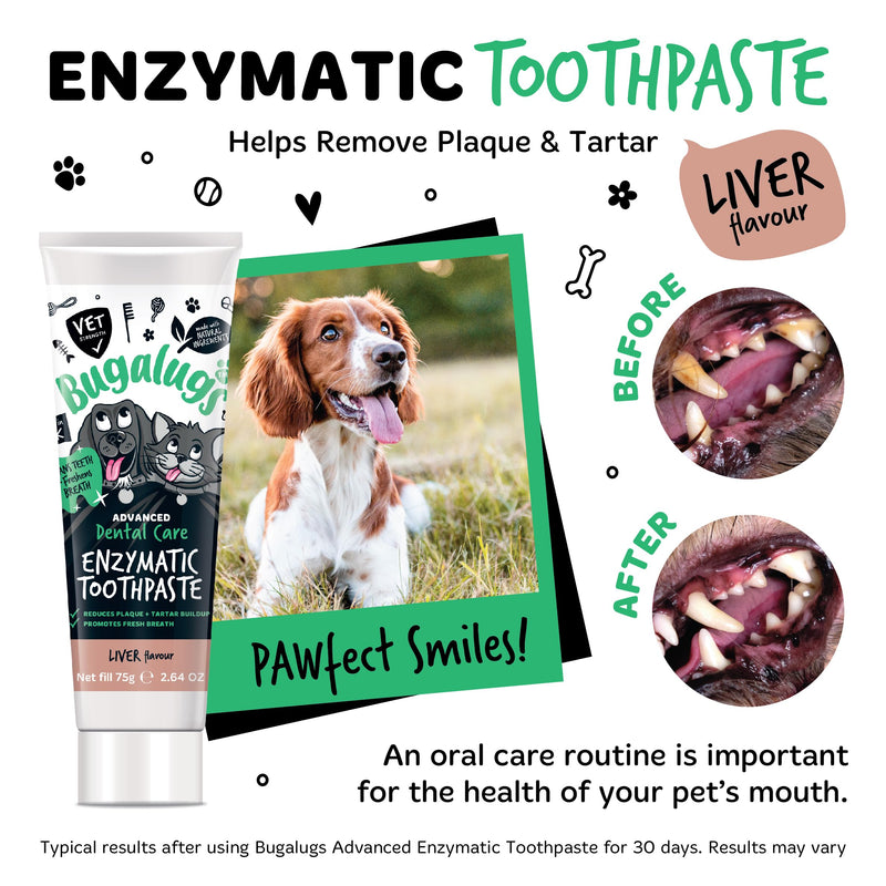 Bugalugs Dog and Cat Toothbrush and Paste Kit - Teeth Cleaning and Breath Freshener 1 count (Pack of 1)