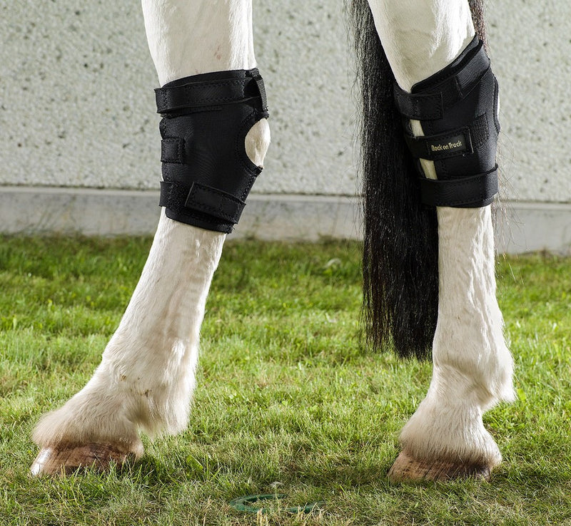 Back on Track Therapeutic Hock Boots Medium - BeesActive Australia