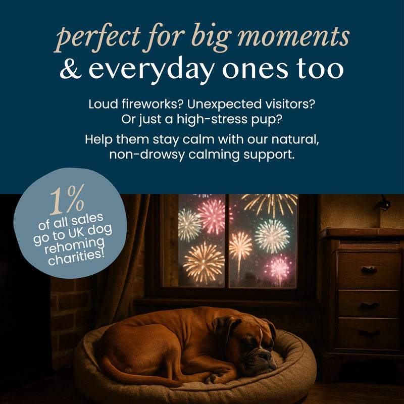 Pure & Gentle Calming Support Powder, 125g – Anxiety Calming Dog Treat Supplement– Calmer Puppy & Dog Anxiety Relief for Fireworks – Pet Remedy with Valerian Root and Ashwagandha