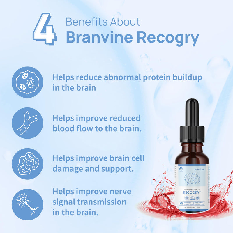 Recogry Liquid Cognitive Disorder and Brain Support for Dogs and Cats with Astaxanthin, Phosphatidylserine, Alpha GPC, DHA, Olive, Coconut, Sage, Turmeric, Ginger (90ml) - BeesActive Australia