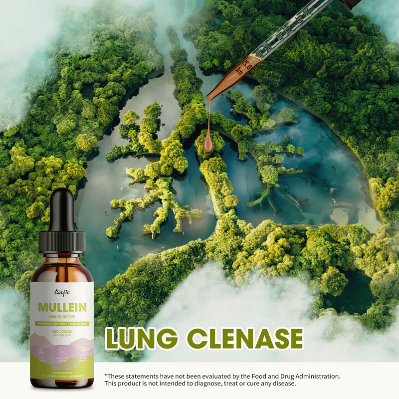 Mullein Drops for Lungs – 15,000mg Mullein Leaf Extract with Marshmallow Root, Perilla & Astragalus for Respiratory Support, Immune Boost & Lung Detox, Natural Herbal Formula, Vegan, 2 fl oz - BeesActive Australia
