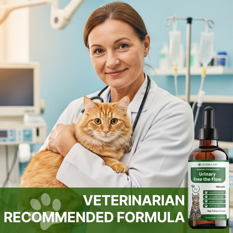 Cat Bladder Treatment for Stones & Crystals, Kidney Stones Dissolver for Cat - Urinary Tract Infection Treatment for Kidney and Bladder Stones, Herbal CatUTI Remedy for Stone Relief & Prevention