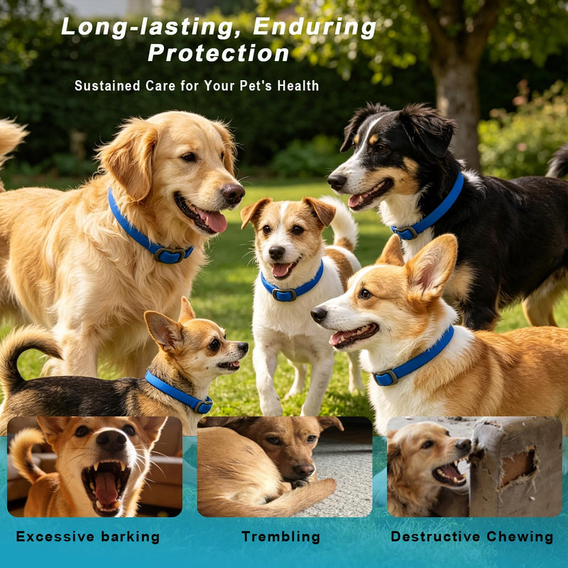 Calming Collars for Dogs, Helps Soothe and Relax, Adjustable Size, Suitable for Small, Medium and Large Dogs