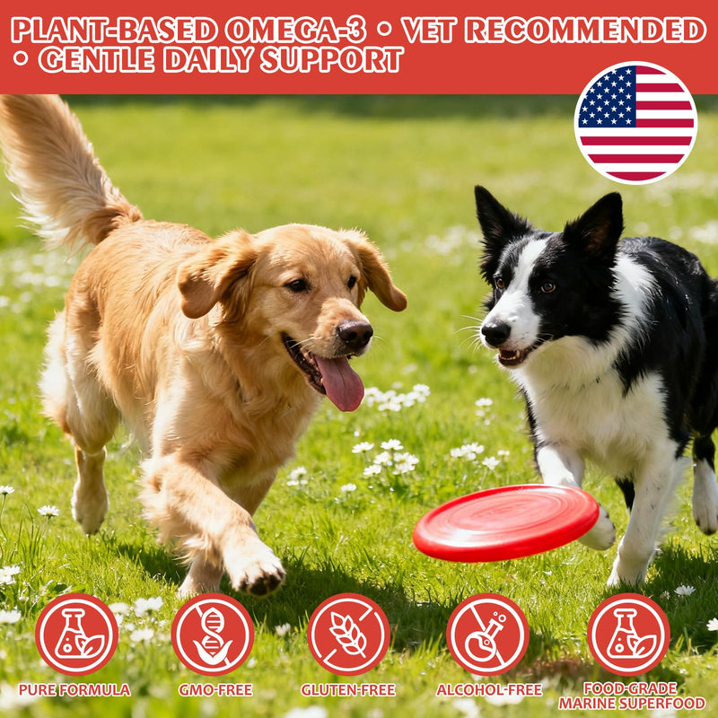 Phytoplankton for Dogs – 100% Pure Nannochloropsis Powder, Natural Omega-3 EPA Skin & Coat Support, Immune & Joint Wellness, Pure Microalgae, Easy-Mix Superfood Supplement for All Breeds(4 oz / 113 g)