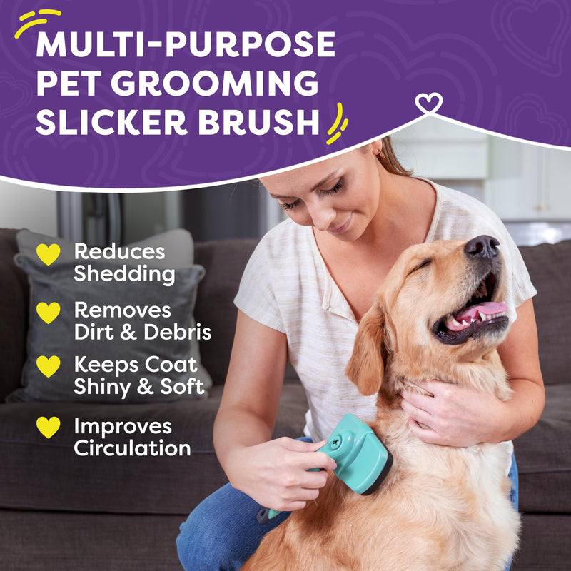 Hertzko Dog & Cat Brush, Dog Brush for Shedding, Cat & Dog Grooming, Self Cleaning Slicker Brush for Pets, Grooming Brushes for Long Short Haired Dogs Cats, Deshedding Brush, Rake, Comb - Aqua Aqua Brush - BeesActive Australia