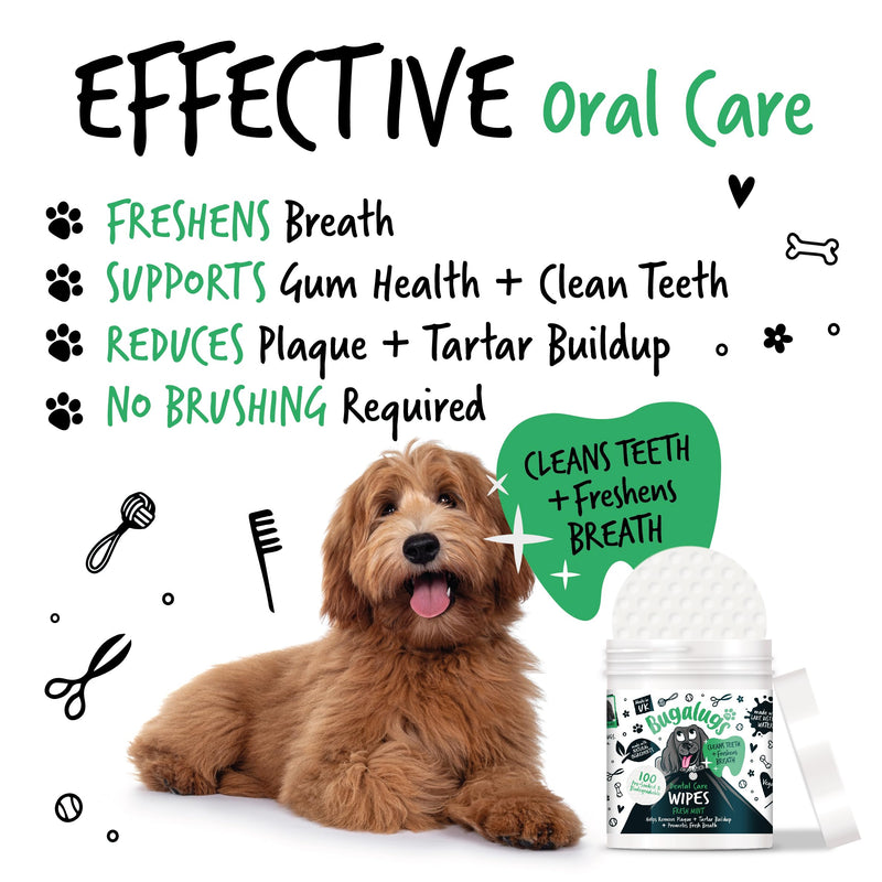 Bugalugs Breath Freshener - Plaque & Tartar Remover Wipes (No Toothbrush/Toothpaste Needed, 100 Wipes) 1 count (Pack of 100)