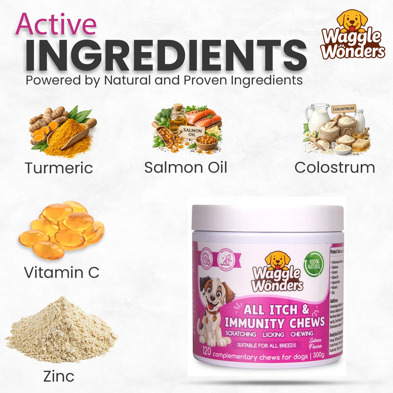 Dog Treats for Itchy Skin - All Itch & Immunity Dog Chews with Salmon Oil, Probiotics & Colostrum, Scratching, Licking & Chewing, 120 Chews